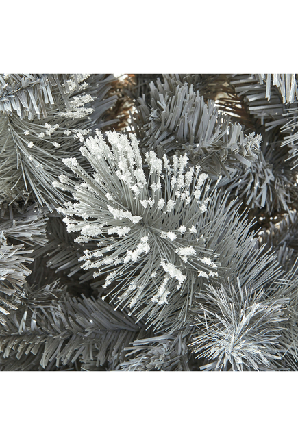 Snow-Tipped Fir Tree